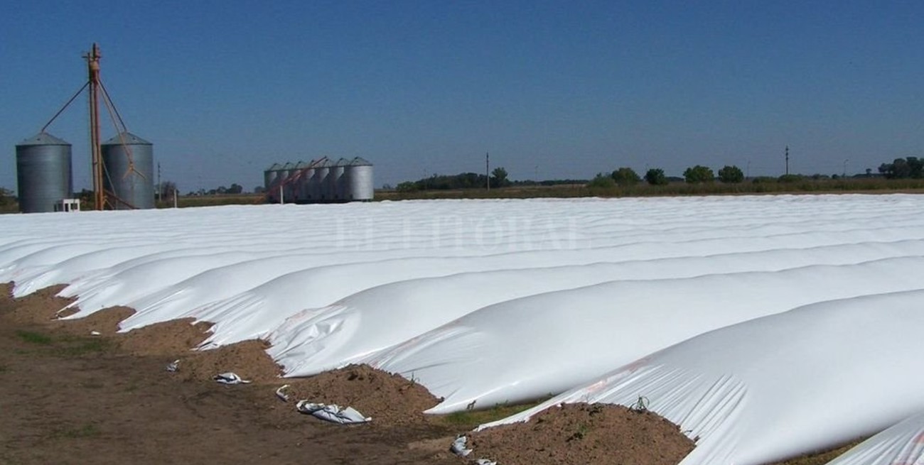 "El que se quema con leche, ve una vaca y llora"