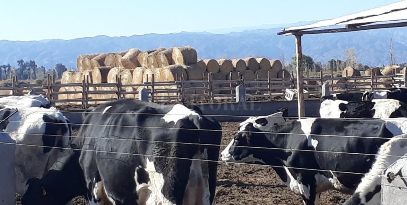 Lechería extra pampeana: ¿modelo a seguir? 