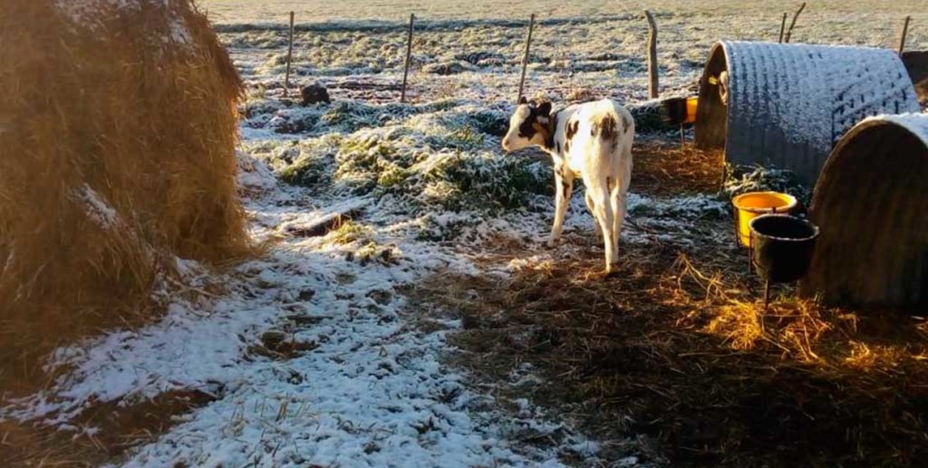 Ola polar: mirá el ranking de ciudades más frías del país