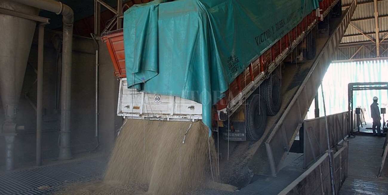  Comienza a cobrar intensidad el ingreso de soja a los puertos