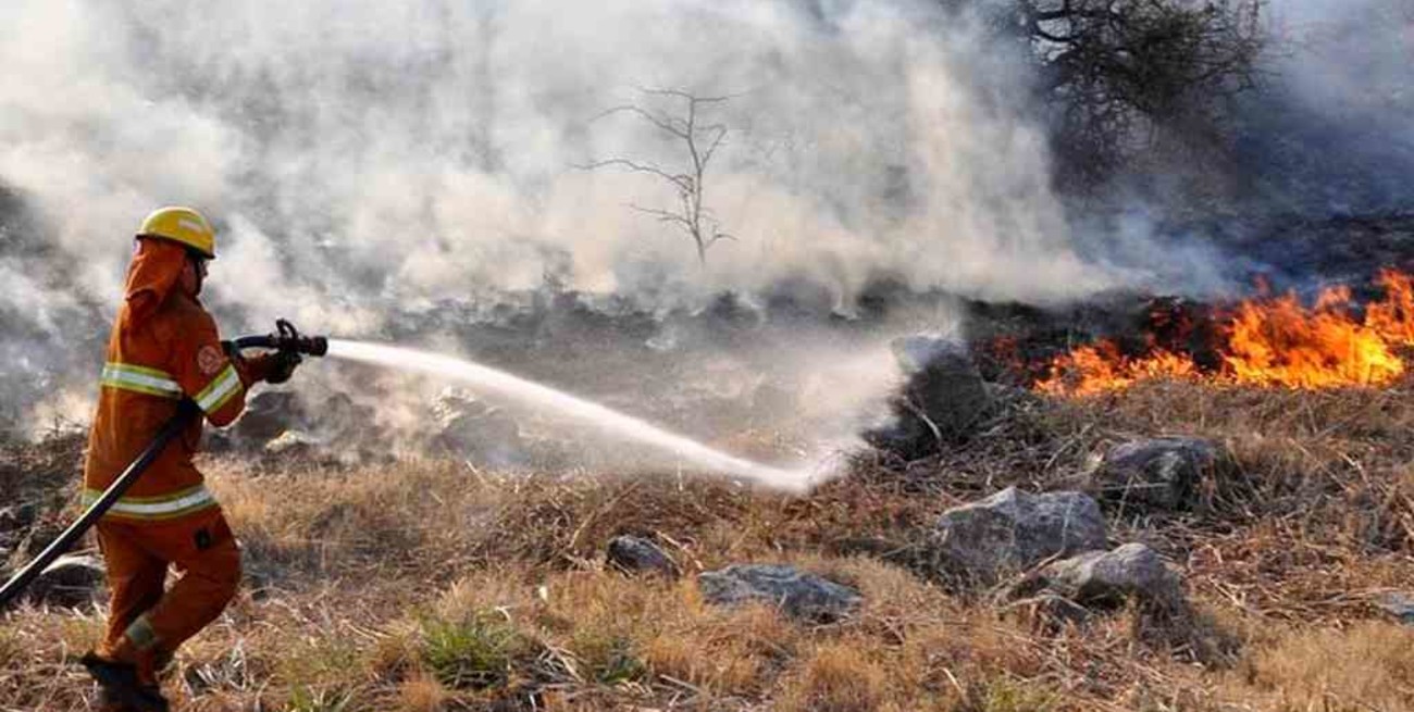 Los incendios forestales afectaron a más de 40.000 hectáreas en Córdoba