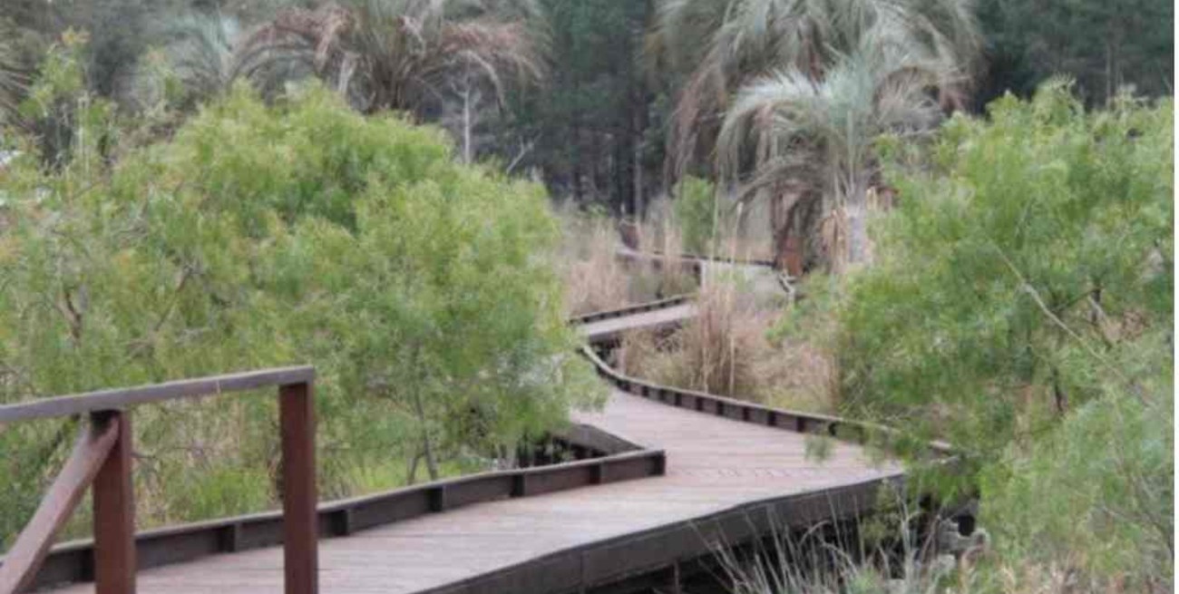 Buscan restaurar y fomentar las áreas protegidas naturales de Salto Grande