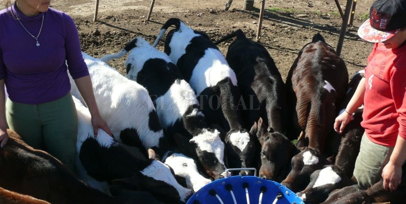 En el tambo promedio participan al menos dos generaciones familiares