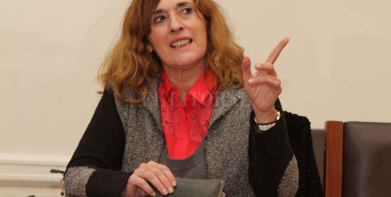 Descontar deudas de alumbrado de la coparticipación "es inconstitucional"