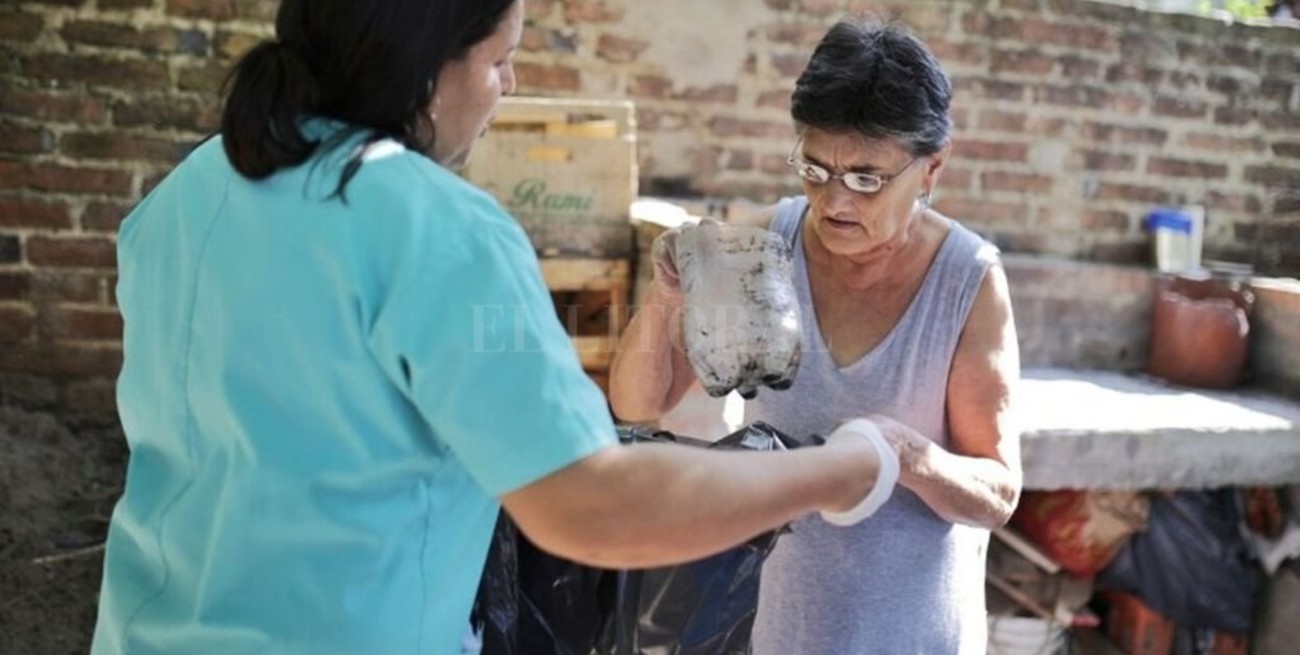 Hay 258 casos de dengue en la provincia y la mayoría son autóctonos
