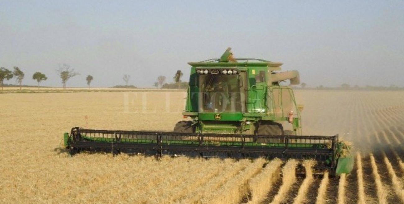  ¿Cómo podría afectar al campo el "impuesto a la riqueza"?