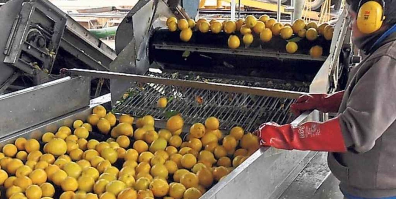 Definen exportaciones de limones a la UE