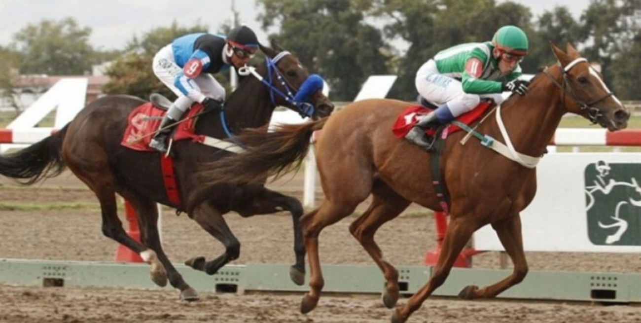 Fin de semana con carreras en Palermo, San Isidro, La Plata y Tandil