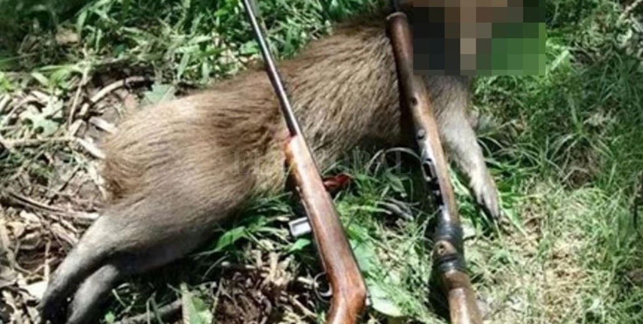Gaboto: 50 sábalos y 40 kilos de carpincho decomisados por la Guardia Rural Los Pumas