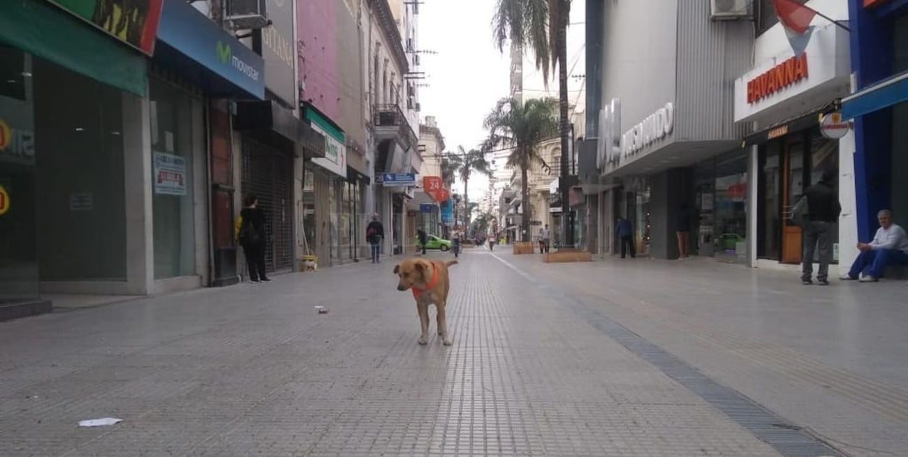 Paro general: la medida de fuerza se hace sentir en la ciudad