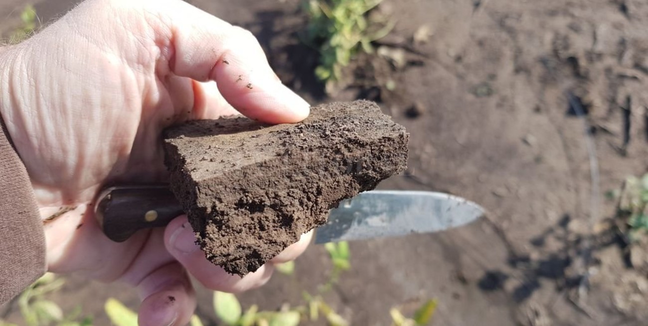 "Alerta temprana" para cuidar los suelos productivos del país