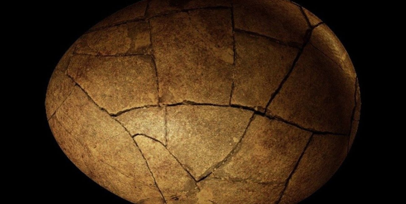 Ponen a la venta un huevo de dinosaurio por 12.500 dólares