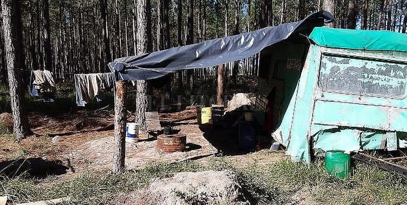 RENATRE halló indicios de explotación laboral a 176 trabajadores forestales