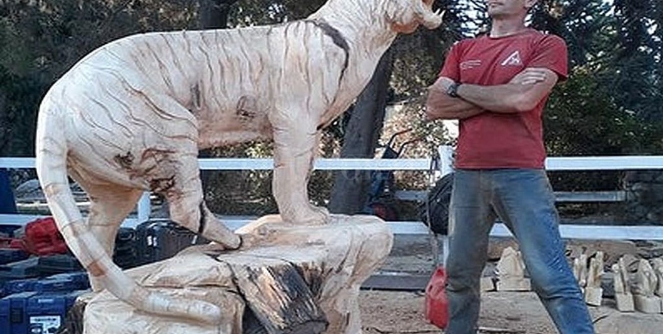 Tomas Franzoi, el artista santafesino que sorprende con sus esculturas de madera