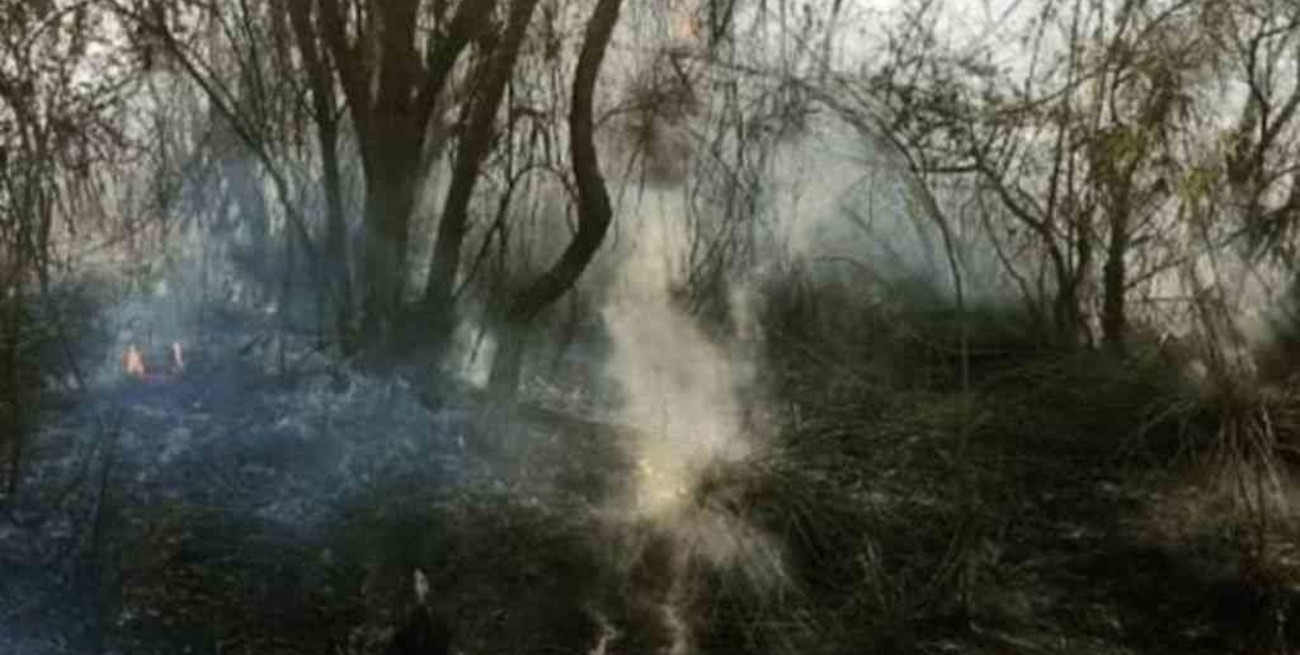 Incendios extinguidos o bajo guardia de cenizas, según el Servicio Nacional de Manejo del Fuego