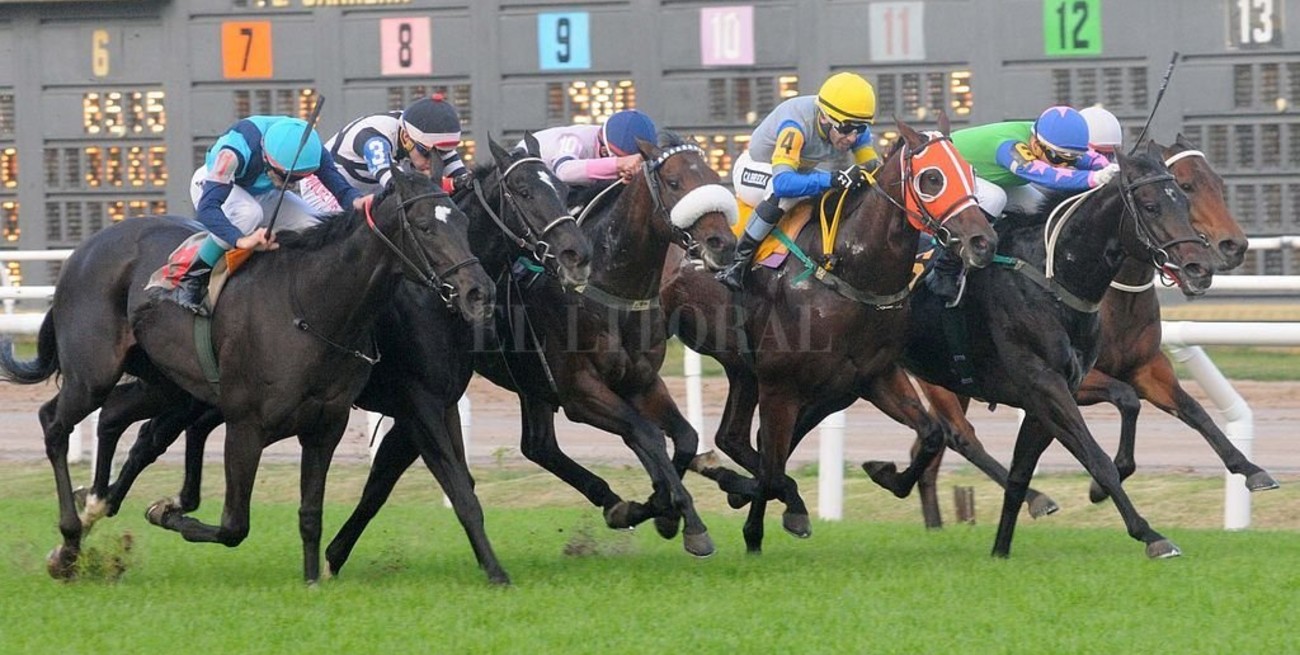 Suspenden por más de 11 años a un cuidador de caballos por doping