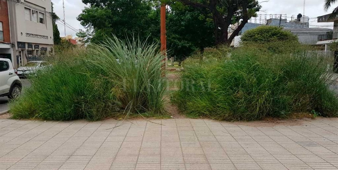 Sectores del Paseo Bulevar sin mantenimiento