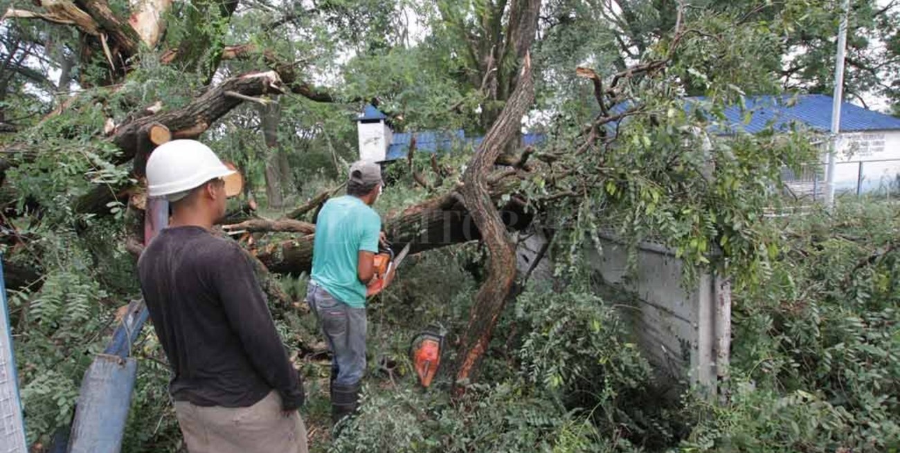 Personal del Ejército se suma a las tareas para reacondicionar la ciudad