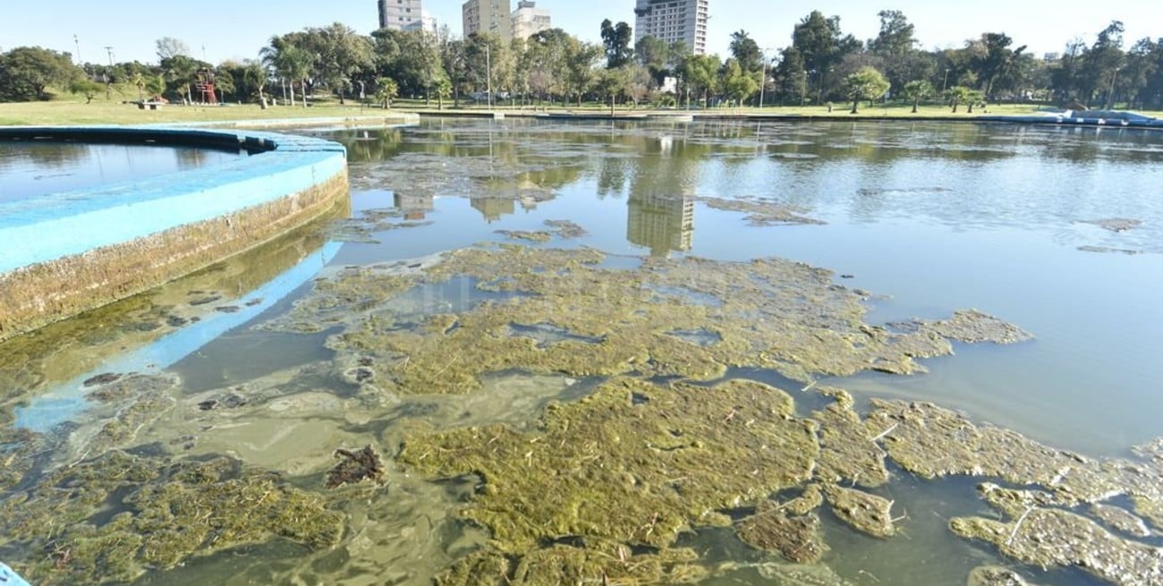 Parque del Sur: la gran cantidad de mosquitos preocupa a los vecinos