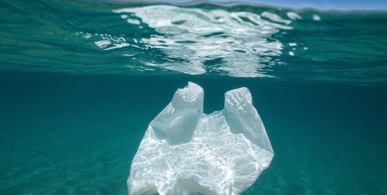 Chau plásticos: desde este 2020 se prohíben los que sean de un solo uso en el Caribe
