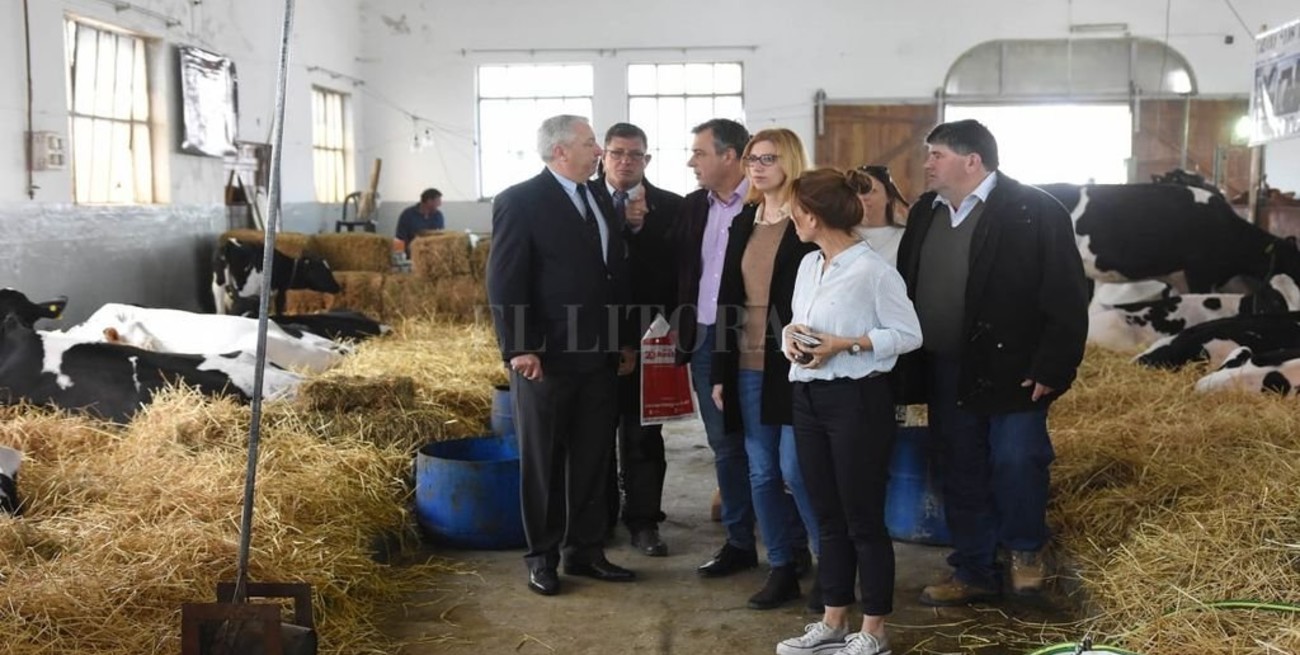 La Sociedad Rural de Rafaela abrió su tradicional muestra