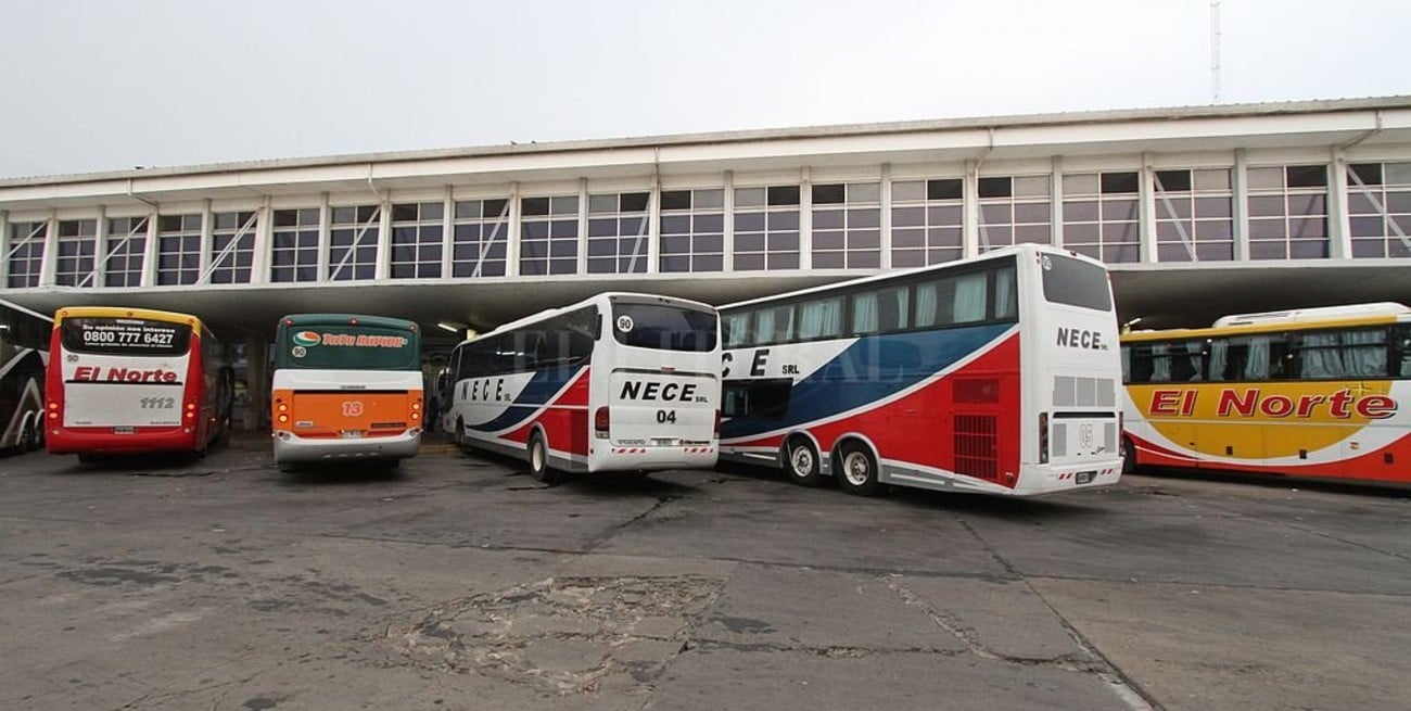 Se vienen los pasajes low cost en colectivo