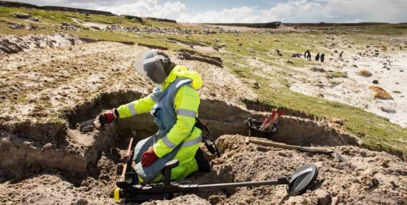 Las islas Malvinas están totalmente libres de minas terrestres