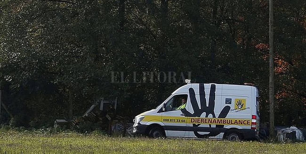 Primer caso de coronavirus en los Países Bajos