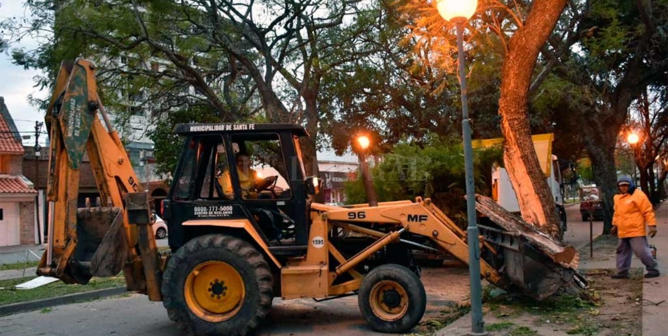 Consecuencias del fuerte viento en Santa Fe: ramas y postes caídos en la calle