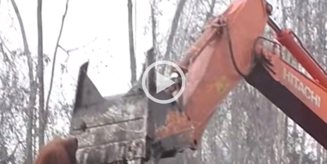 Un orangután defiende su hogar de una excavadora