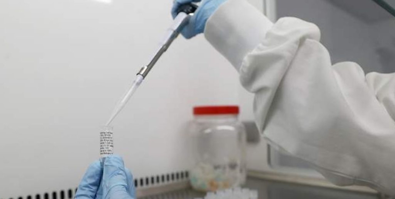 COVID-19: La OMS confía en que a finales de 2020 haya "cientos de millones de dosis de vacunas"