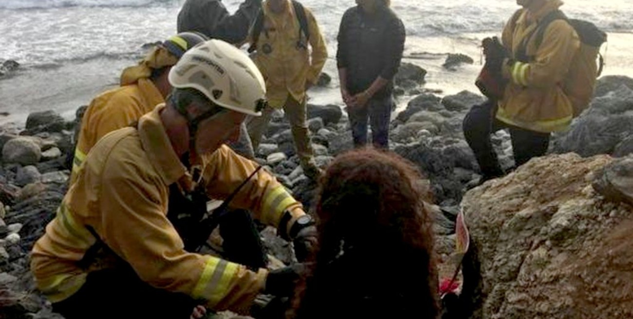 Cayó por un precipicio al mar con su auto y fue hallada con vida una semana después