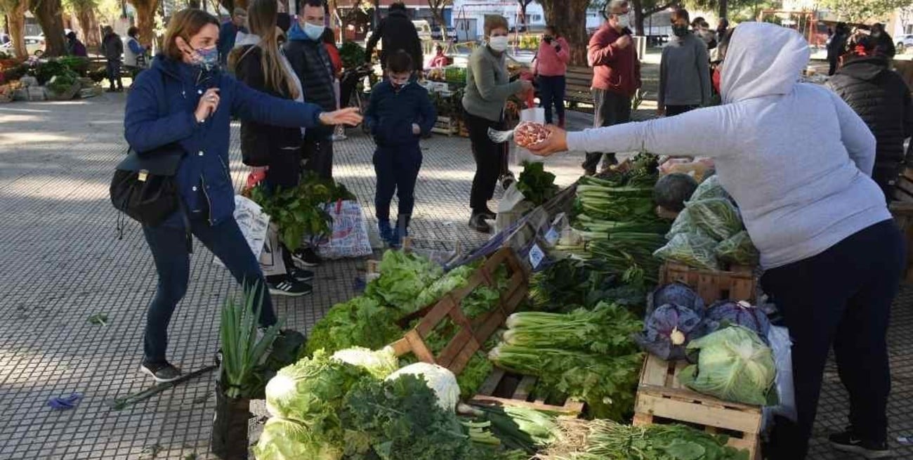 Futuro promisorio para la producción agroecológica de la ciudad de Santa Fe