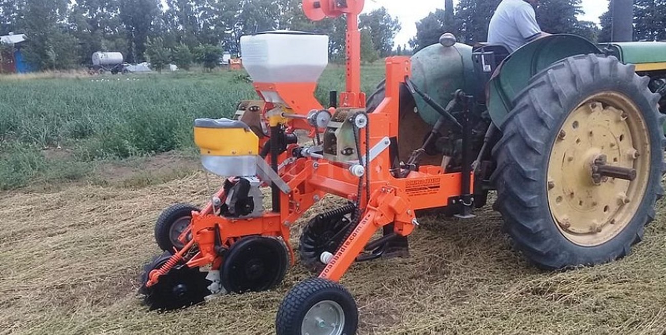 El INTA presentó la primera sembradora de labranza cero para zapallo