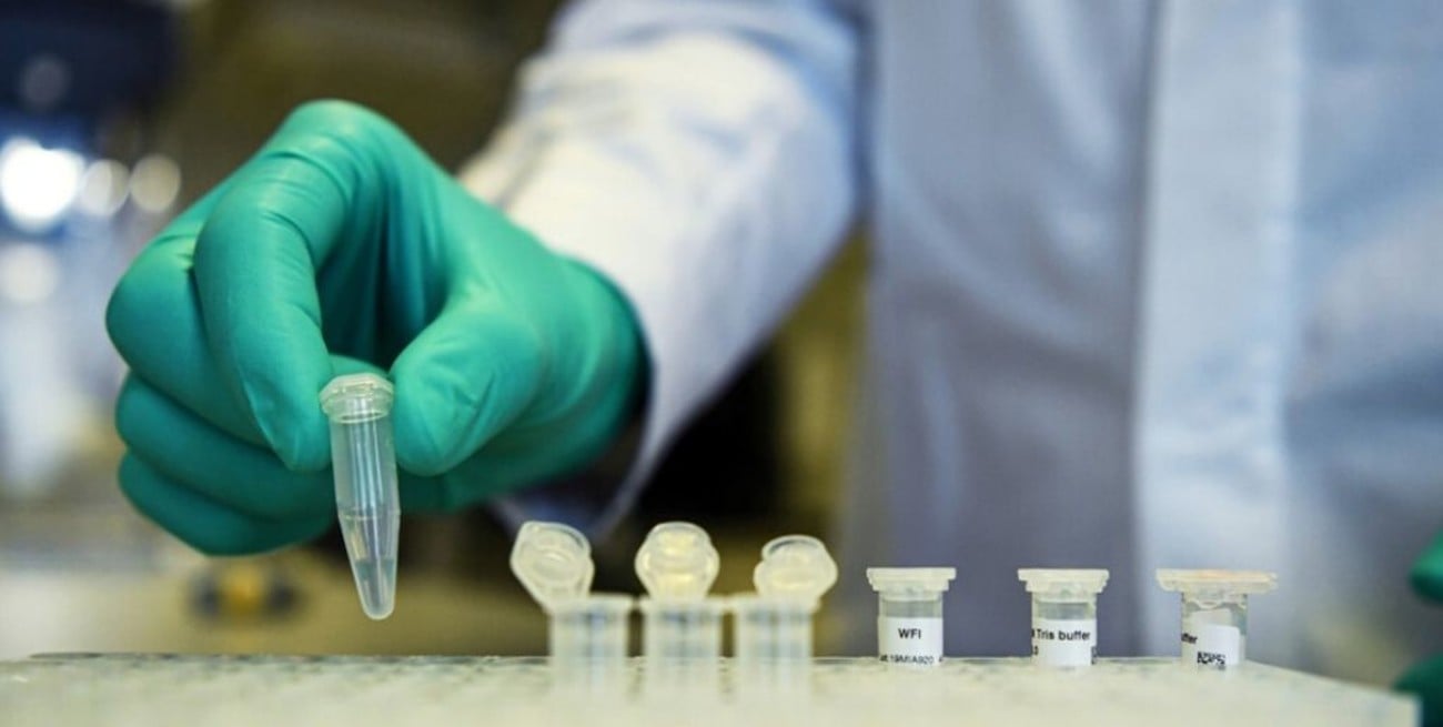 Rusia anunció que está probando seis vacunas contra el coronavirus