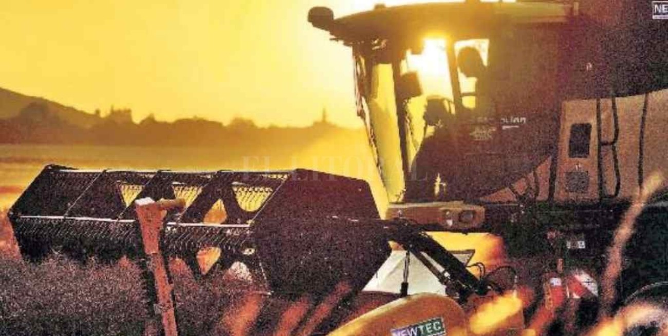 La cadena agroindustria tiene un plan 