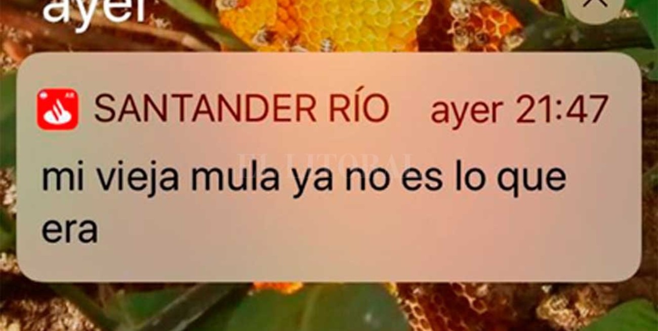 El mensaje enviado por error de un banco a sus clientes es furor en la redes