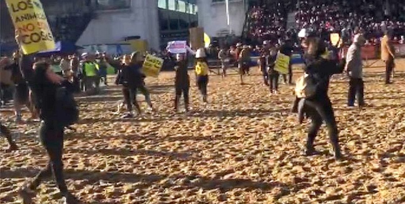 Los activistas echados de la Rural a rebencazos pidieron "disculpas" y afirman que no volverán