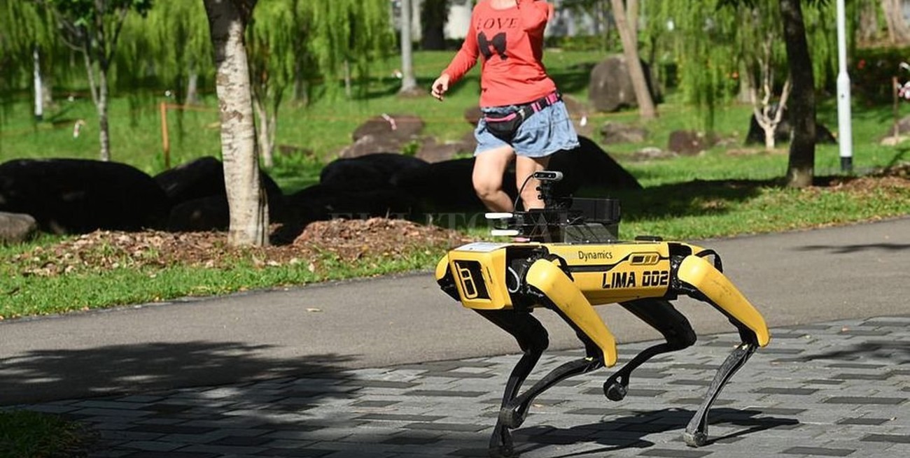 Un robot-perro se desplaza en Singapur para controlar que se cumplan las medidas contra el coronavirus