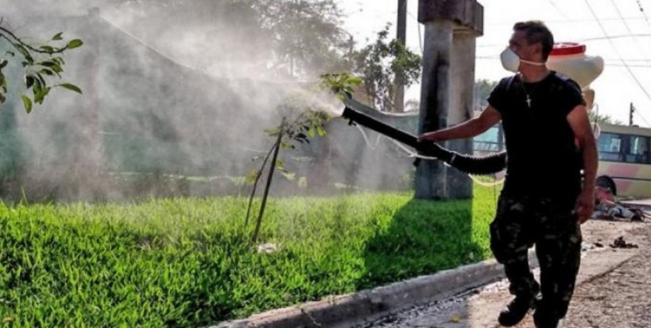 Catamarca  registra 273 infectados por dengue