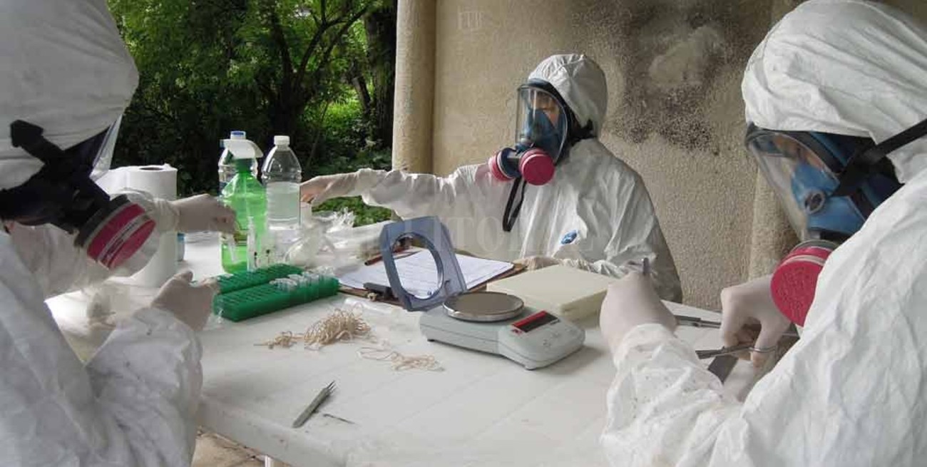 En 2018, en Santa Fe se registraron 15 casos de hantavirus