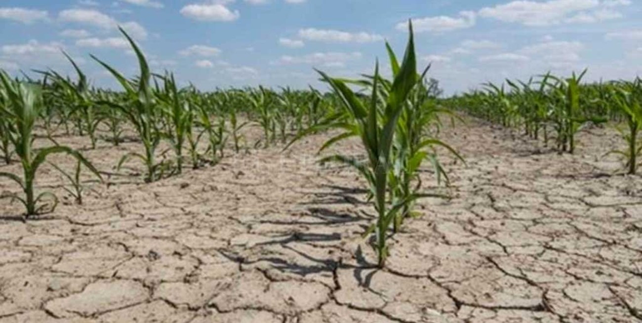 Impulsan la primera legislación provincial sobre "cambio climático"