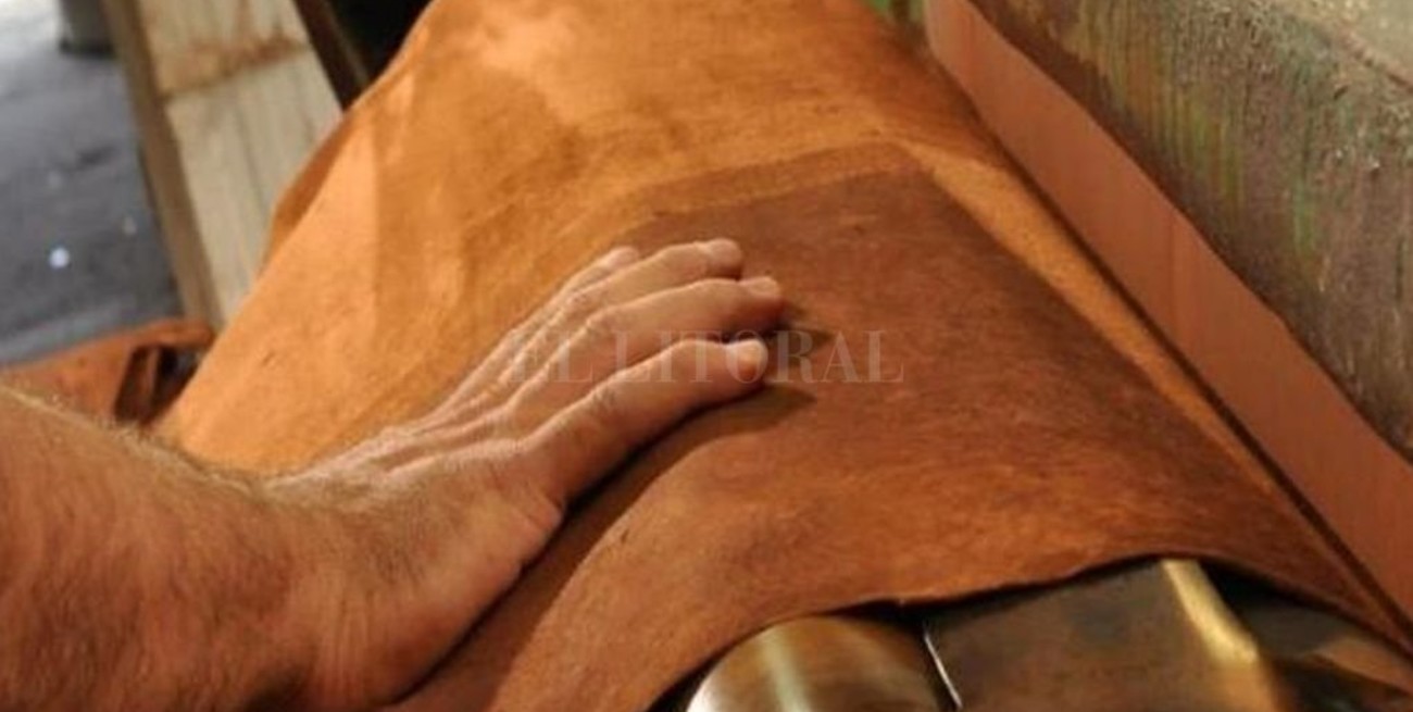 Exportaciones de cuero: atender la emergencia no alcanza