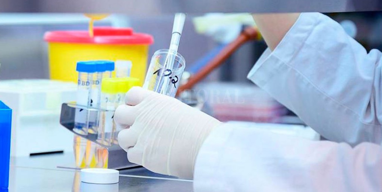 Coronavirus: Alemania sumó 583 nuevos casos