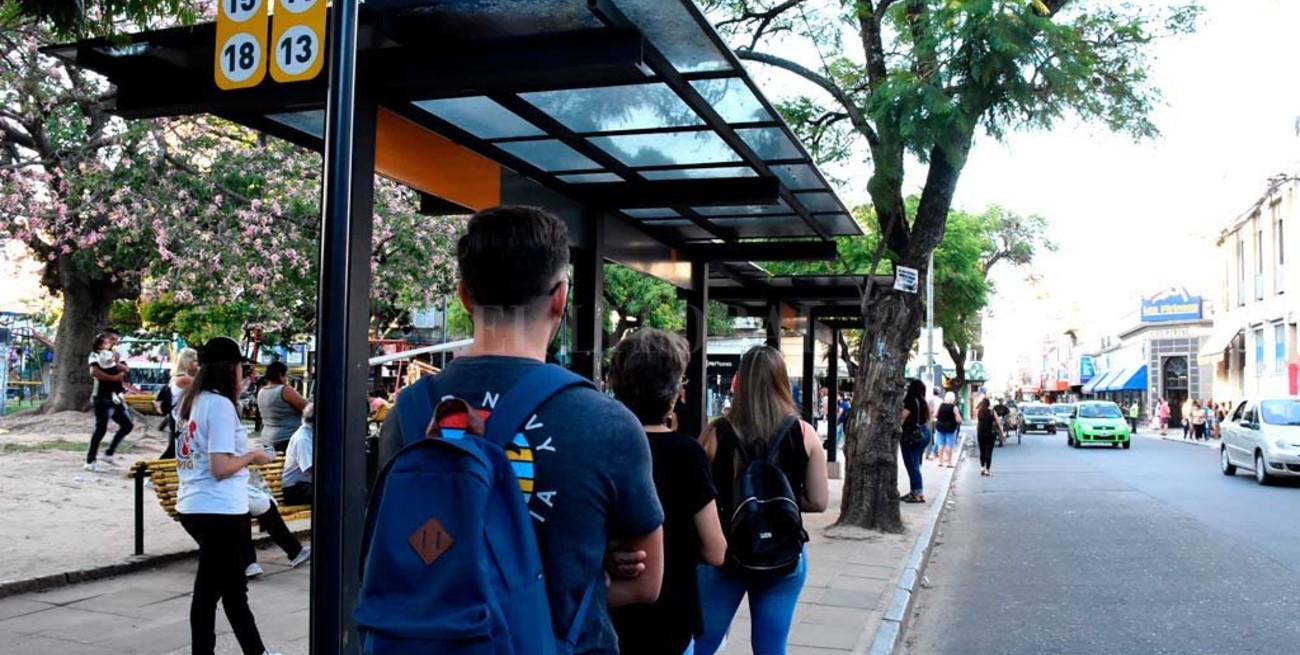 Guía: obtené el Boleto Educativo Gratuito 