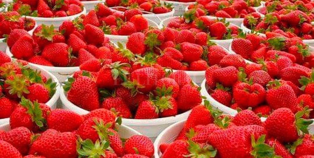 Coronda: el país de la frutilla