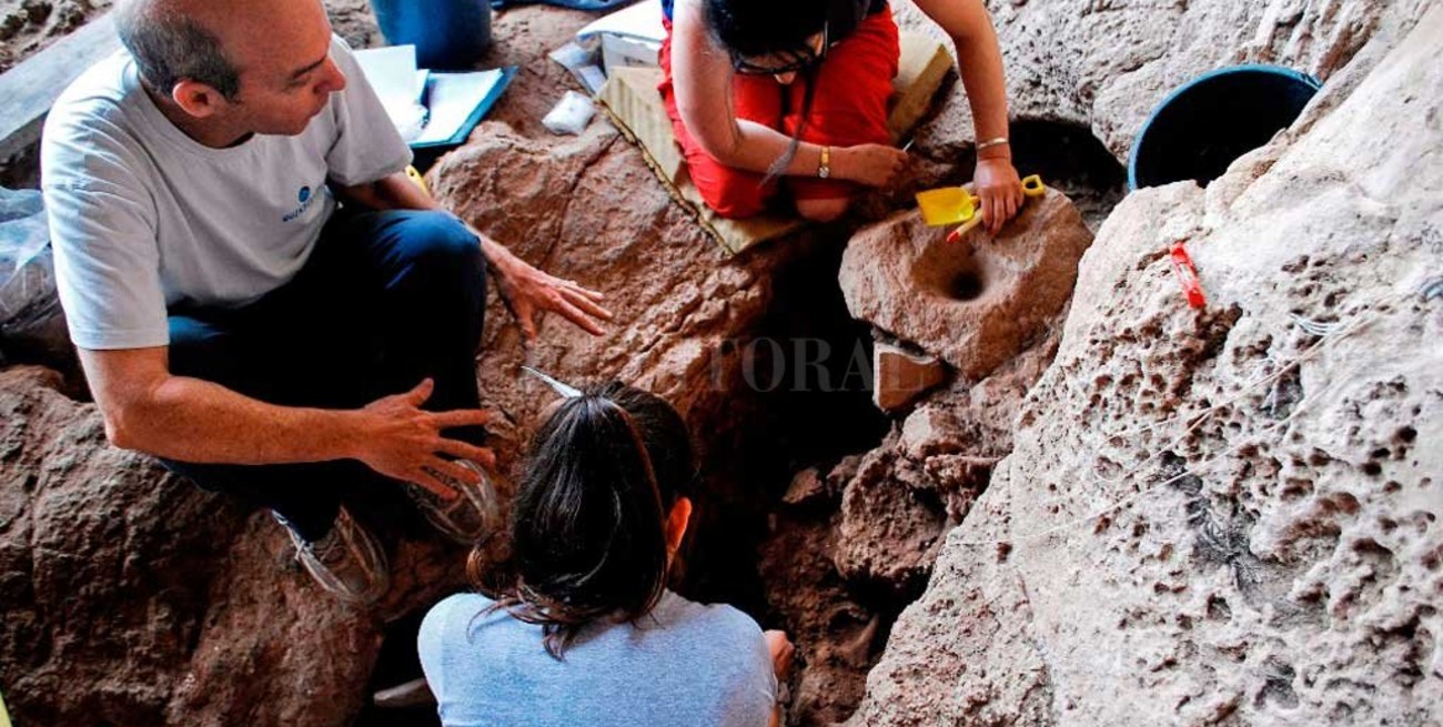 Descubren en Israel lugar de producción de alcohol más antiguo del mundo 