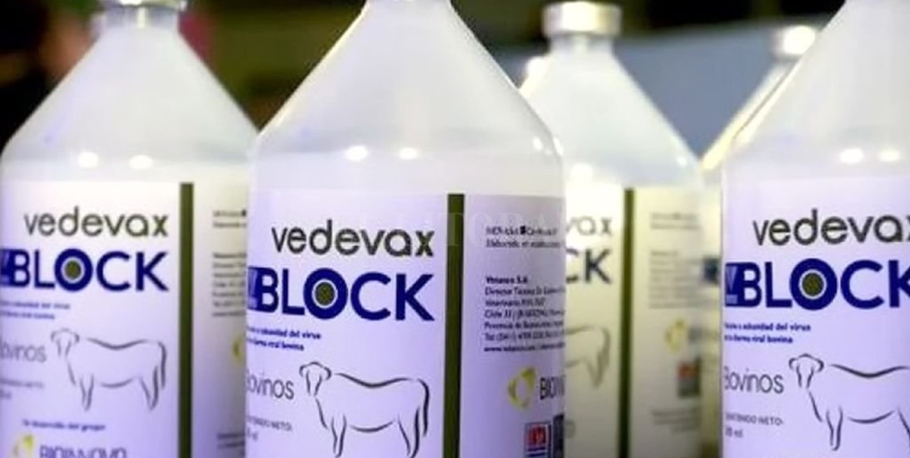 Una vacuna argentina para bovinos desarrollada por el INTA se venderá en Perú