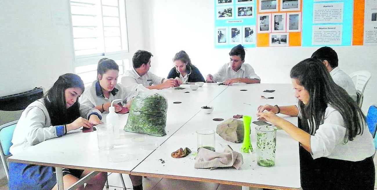 Estudiantes demostraron que se puede hacer papel sin talar un solo árbol