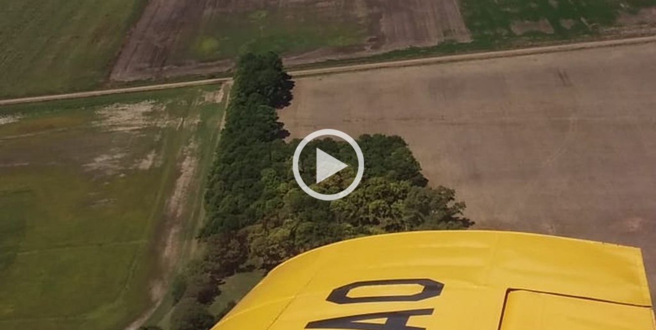 Soja desde el aire: mirá el paso a paso de una exitosa experiencia en San Justo